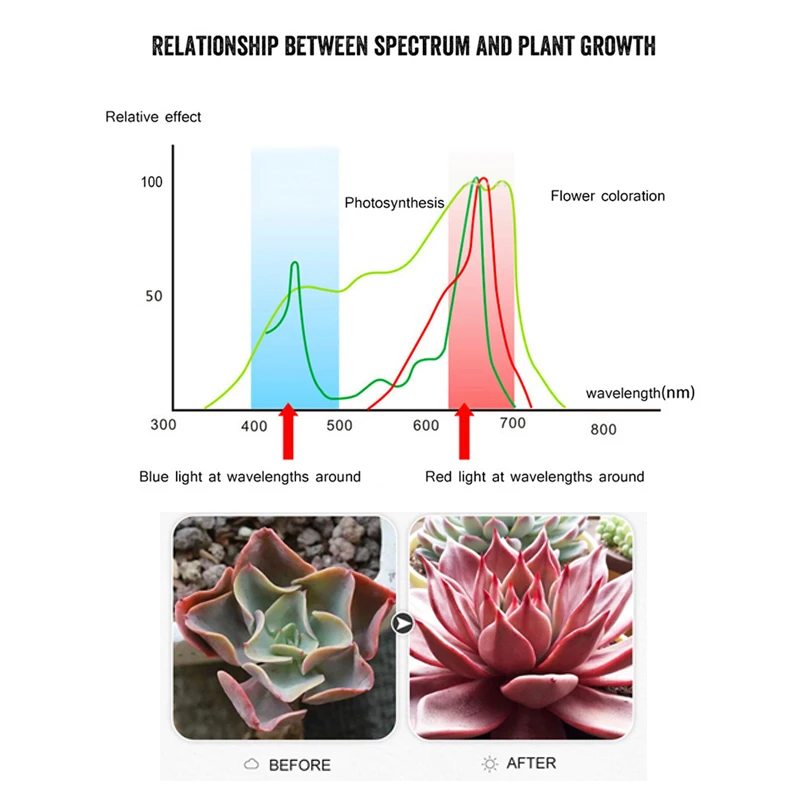 500 Вт комнатный светодиодный светильник для выращивания растений, полный спектр фито-ламп для выращивания цветов