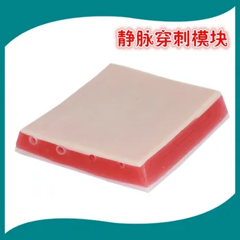 

Intravenous Injection Model Vein Puncture Infusion Training Intramuscular Injection Trainning Subcutaneous Nursing Medical Model