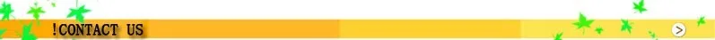 contact us