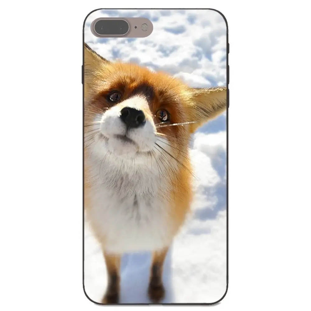 Мультяшный Забавный Лисичка для Apple iPhone X XS Max XR 4 4S 5 5S SE 6 6S 7 8 Plus Мягкий Силиконовый