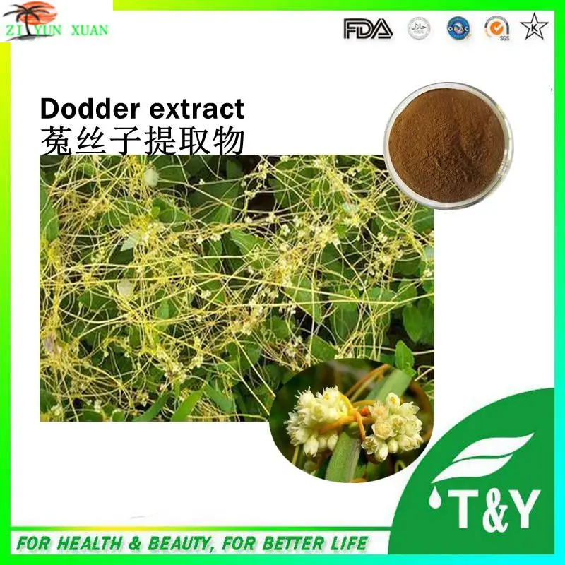 

chinese dodder seed extract semen cuscuta seed extract 900g/lot