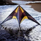 Best Price as low as $163.24 free shipping high quality Blackjazz quad line stunt kite with handle line outdoor toys flying Freilein rolling kite albatross