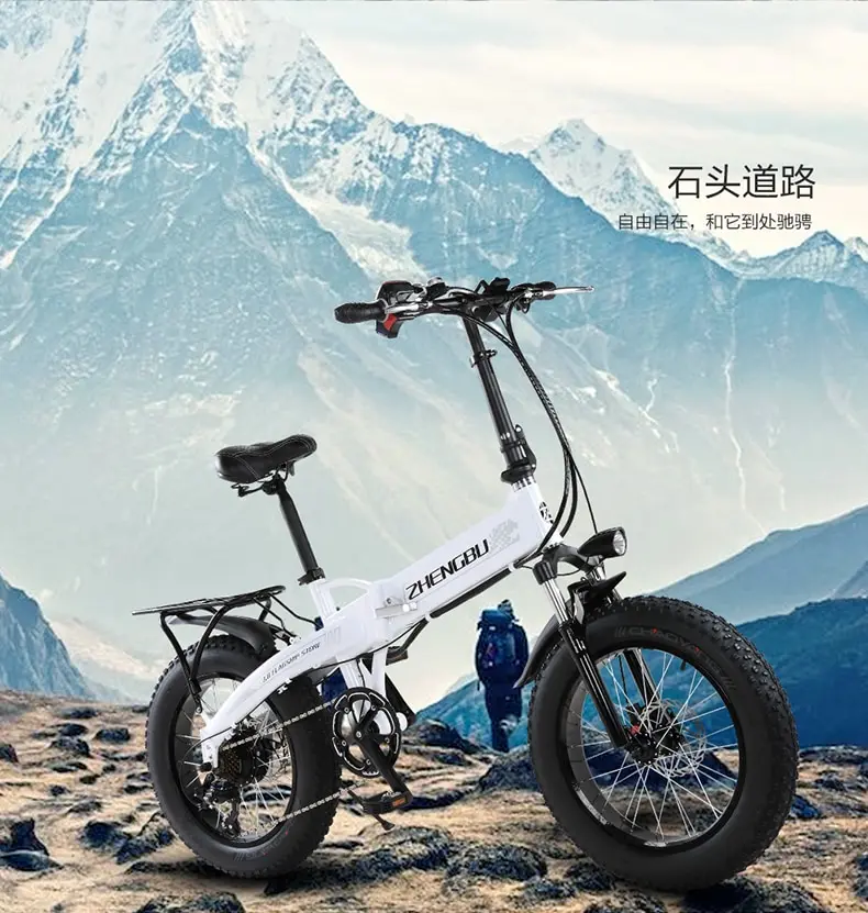 Cheap 48V 10Ah Lithium battery,350W Powerful Motor,  20" 4.0 Width Tire Snow Bike, Folding Electric Bike,Fat Bike,MTB Mountain Bicycle 5