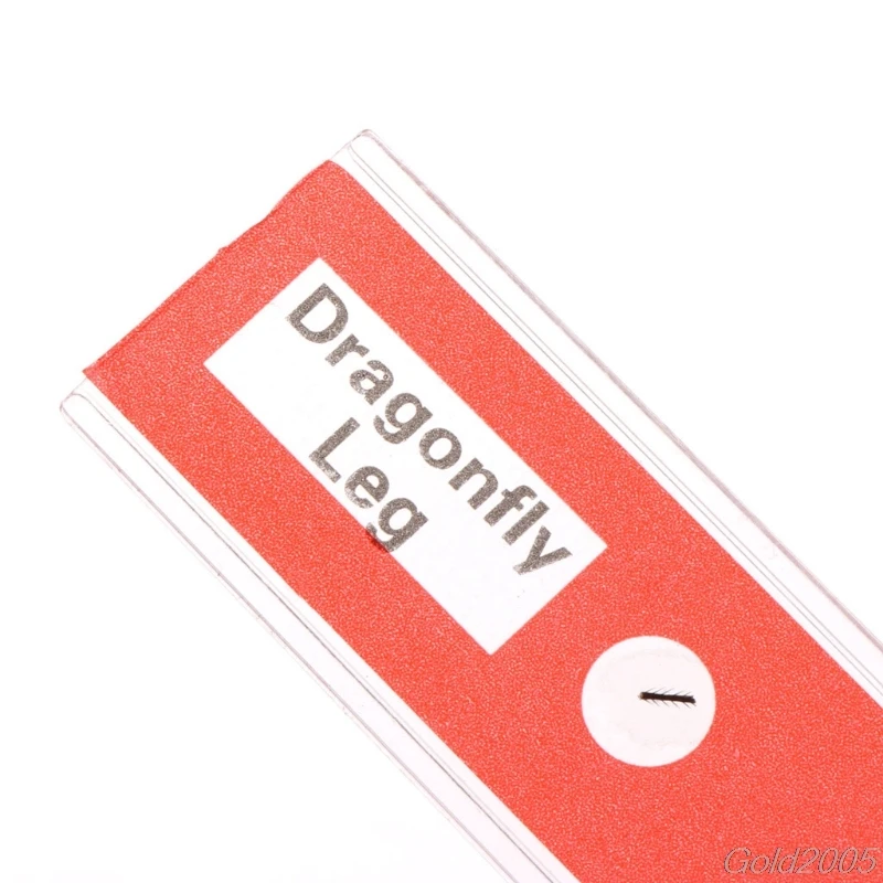 slides sample