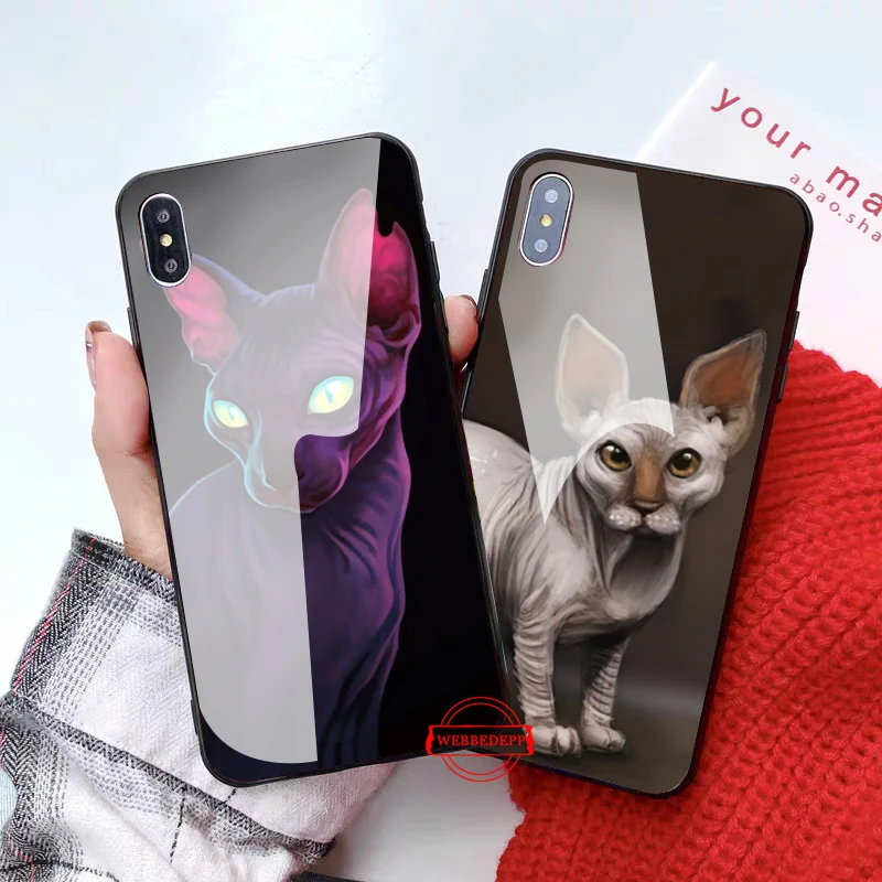 Sphinx cat with geometric design iPhone 11 case Sphinx cat with geometric design iPhone 11 case