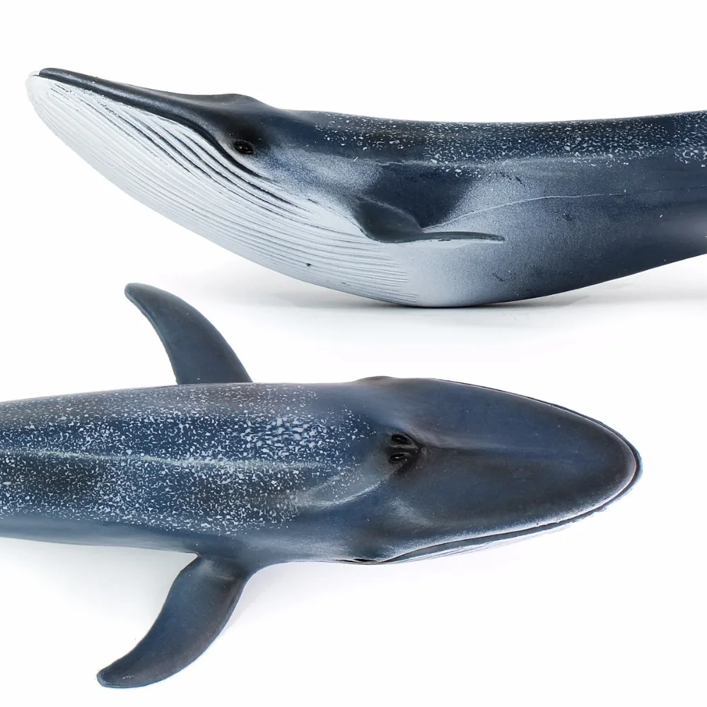 Bubles Wall Sea Life Marine Animals Blue Whale High Quality Action Figure Toy Ocean Animal Model For Kid Gift Bubles Wall Sea Life Marine Animals Blue Whale High Quality Action Figure Toy Ocean Animal Model For Kid Gift