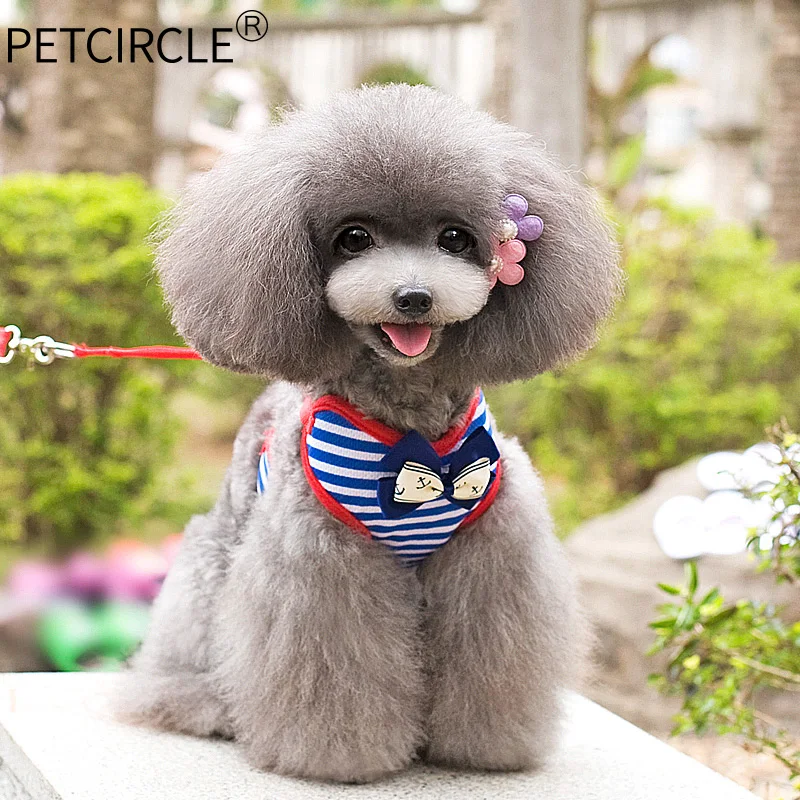 Petcircle/Популярные однотонные джинсы ошейники для собак, 14 цветов, поводок для собак и девочек, поддерживающий пояс на лямках для щенков, Регулируемый мягкий дышащий