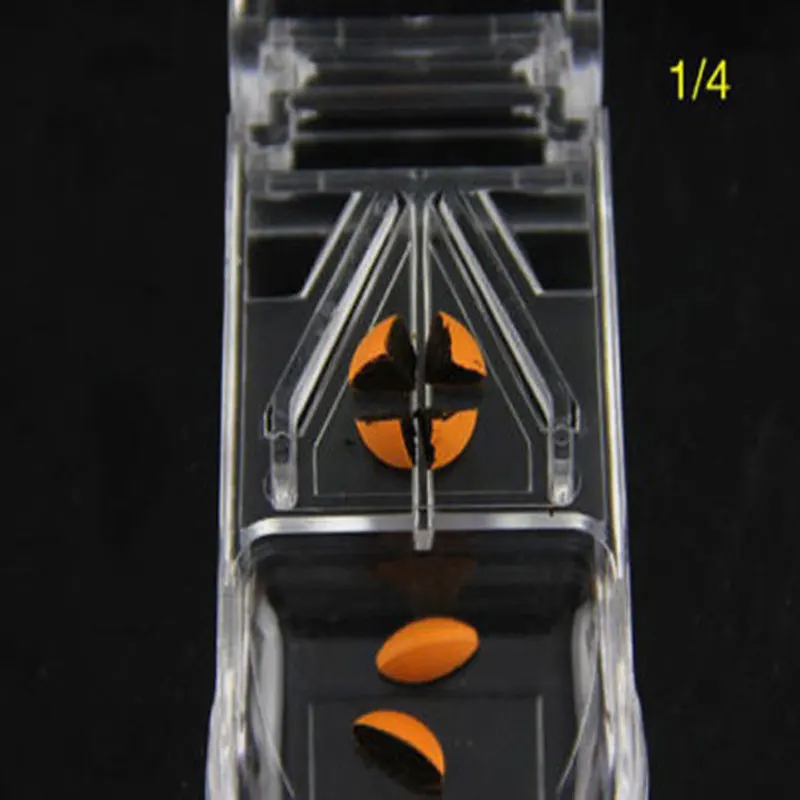 81911_no-logo_081911-1-010