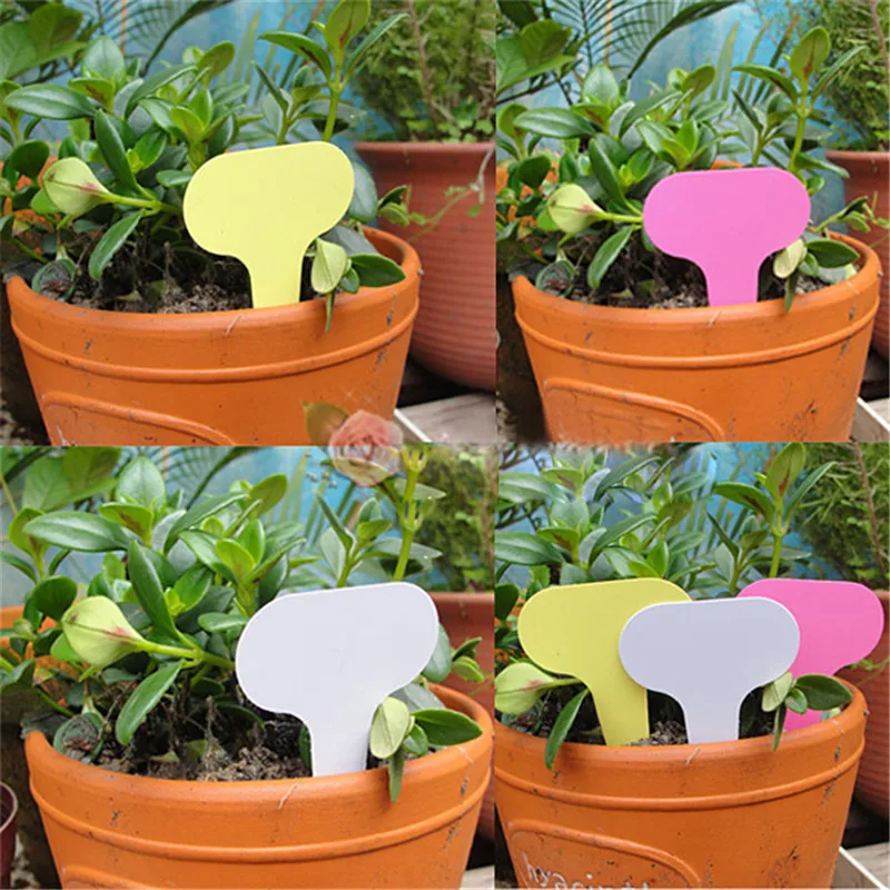50pcs Lot Plastic Plant Labels T Type Garden Tags Pots Planters 50pcs Lot Plastic Plant Labels T Type Garden Tags Pots Planters Nursery Decoration Tools In From Home On