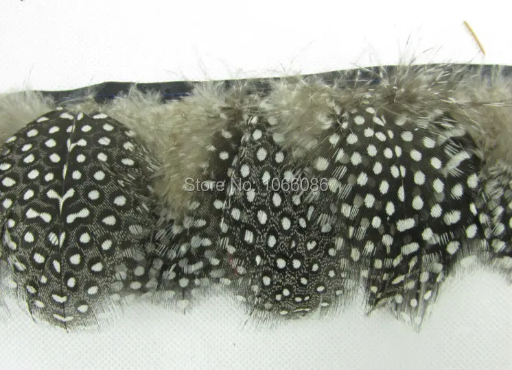 

Free shipping 10yards 6-8cm width natural pearl chicken feather fringe Hackle feather ribbon pheasant feather trimming