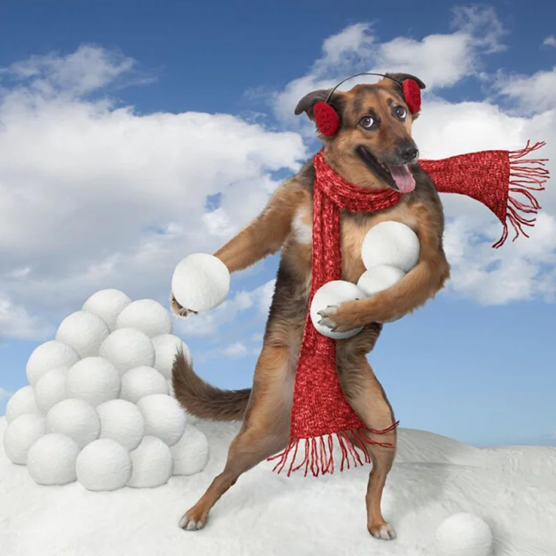 

Diamond Sainting Snowball Fight Dog Diy Diamond Embroidery 3D Square Diamond Mosaic Full Cover Size 60*60cm