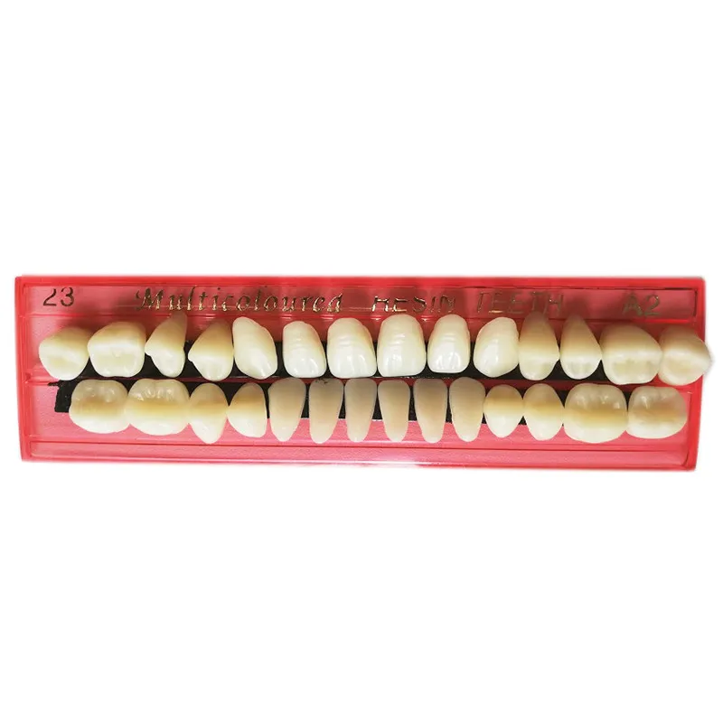

28pcs/set Resin Teeth Model for Teaching Durable Dentures Colors Tooth Shade Guide Teeth Model Teach Dental Materials