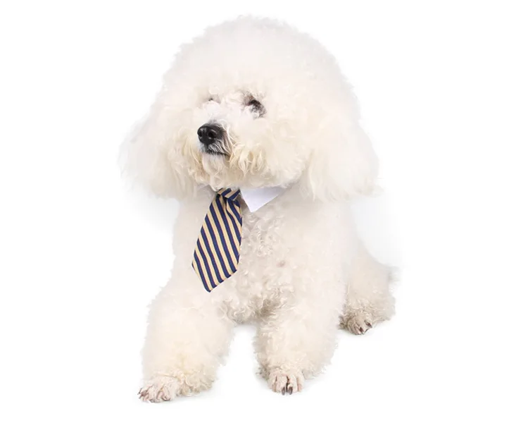 Собака уход Кошка Полосатый галстук-бабочка воротник ПЭТ регулируемый галстук белый ошейник собака галстук вечерние свадебные Gravata Cachorro