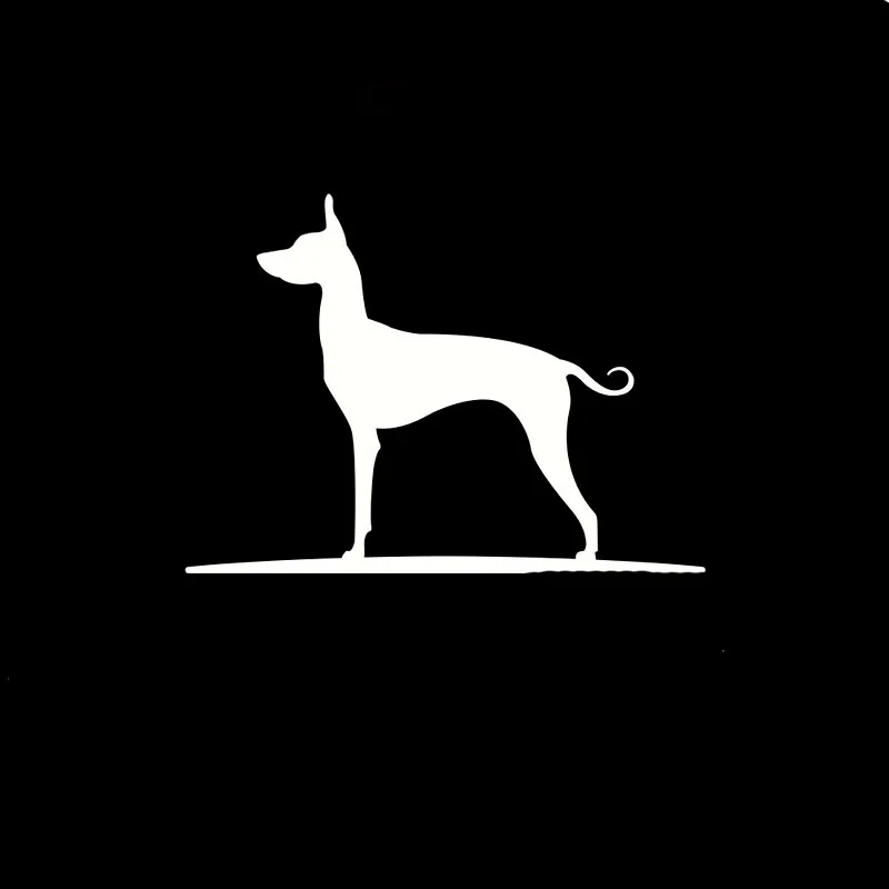 Thatlilcabin My Basenji Is My Copilot 6 AS1364 Car Sticker Decal
