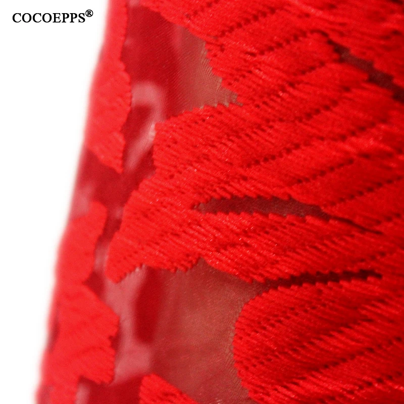 COCOEPPSLOGO25