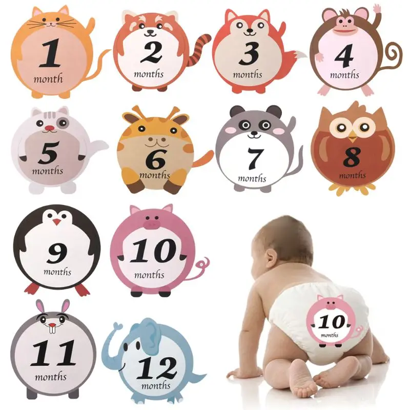 

12 Pcs/Set Month Sticker Baby Pregnant Monthly Photography Cute Animal Stickers