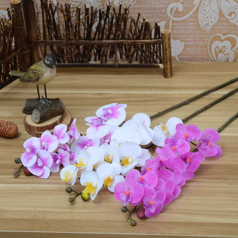 2565162093_425784635