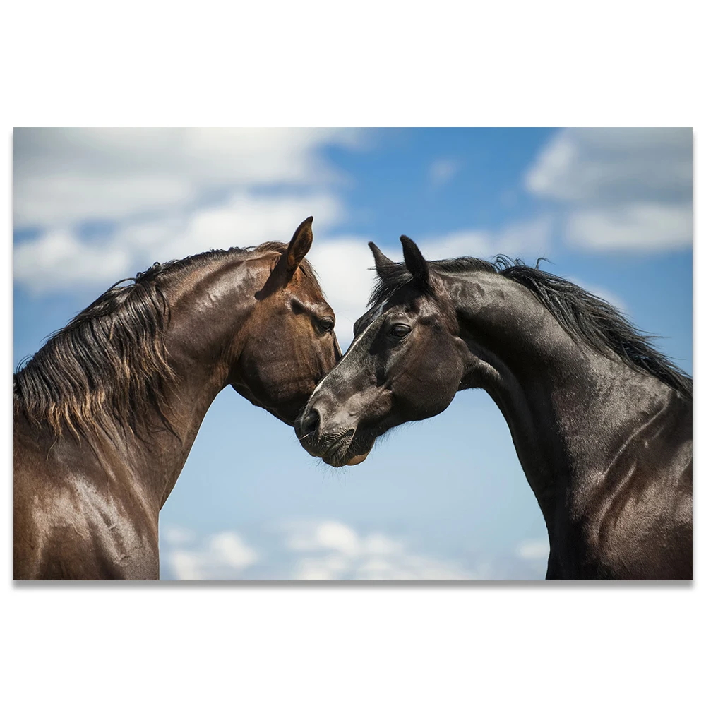 Brown Horse Yellow Wall Animal Mare Print NEW POSTER