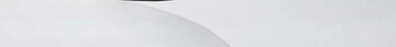 2_1