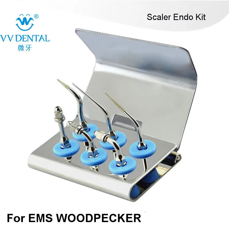 

1 set EEKS Scaler Endo Kit Dental ultrasonic piezo scaler endo tips Silver Endo tip for EMS dental scaler endodontics