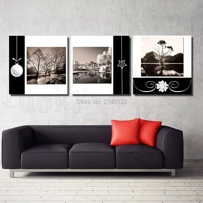 3Pcs Canvas Print Framed Black White Modern Art Canvas HD Picture Home