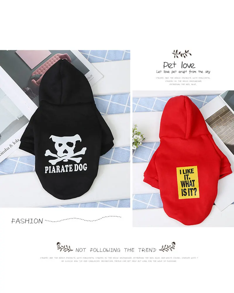 dog coat pug