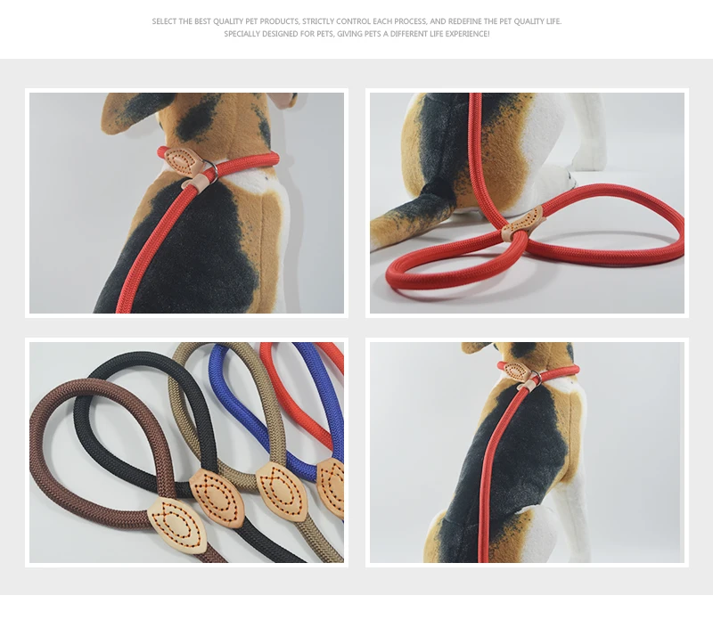 CHPET801009-(1)_09
