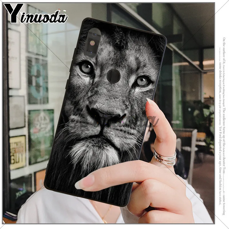 Animals The lion
