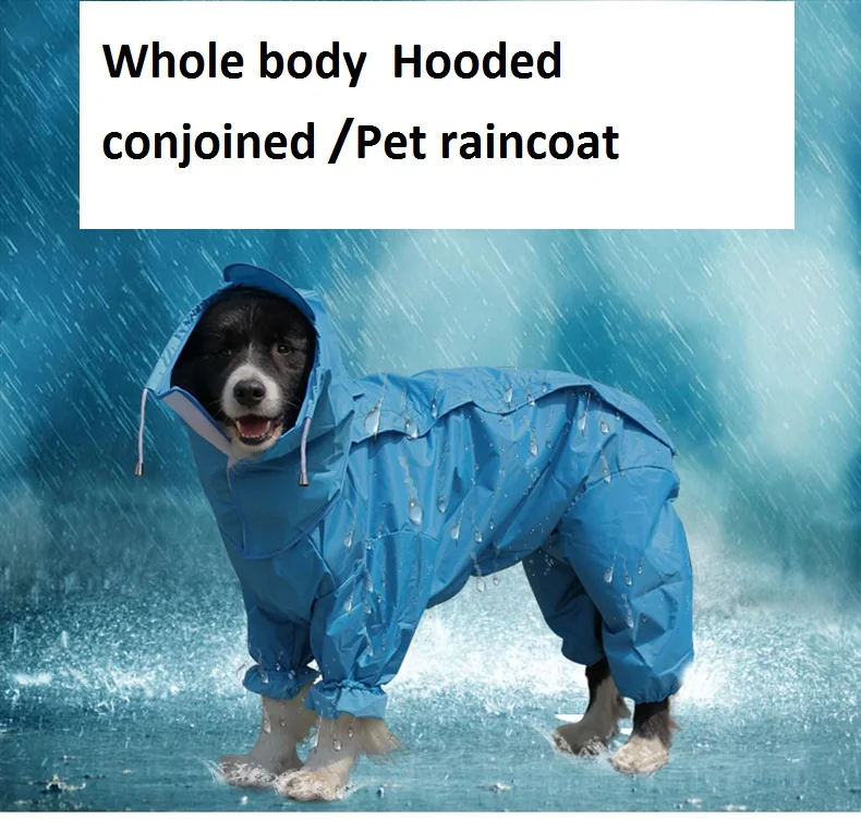 Capas de chuva para cães