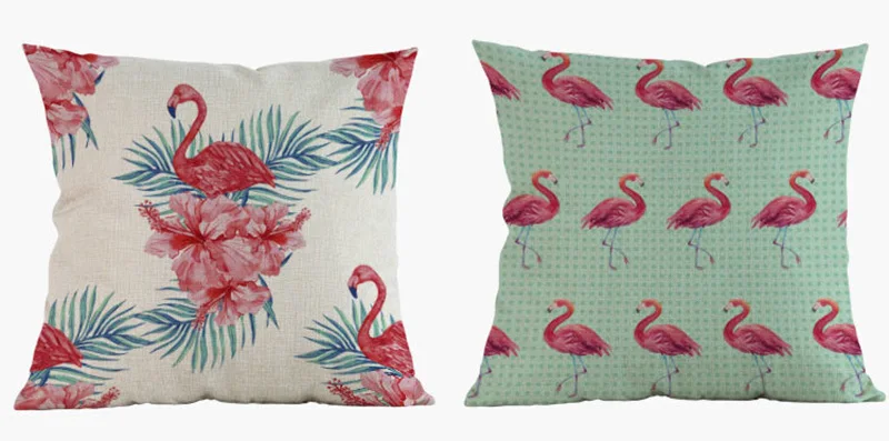 4237665588_1498751195