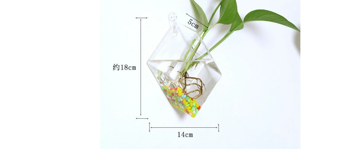 Подвесной цветочный горшок стеклянная ваза-шар террариум настенный аквариумный контейнер/ - Цвет: Прозрачный