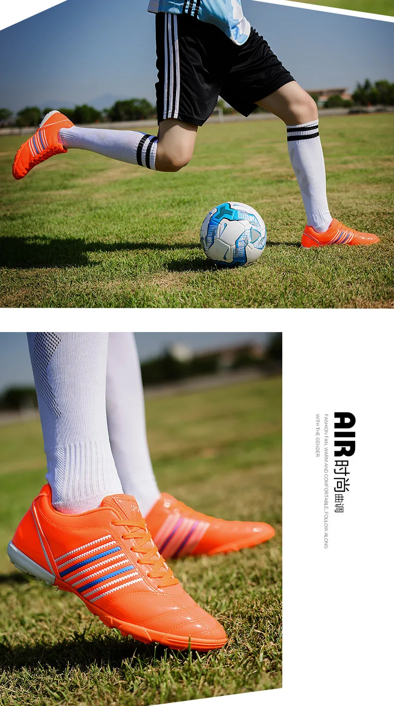 4646139496_1748433161