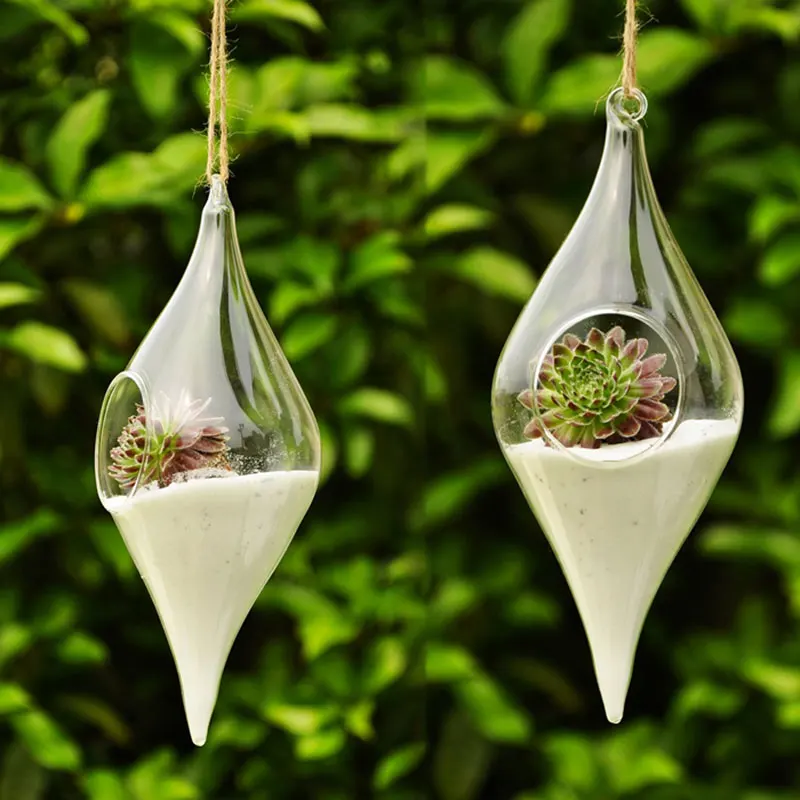Hanging Glass Vase Hanging Terrarium Hydroponic Flower Container Indoor