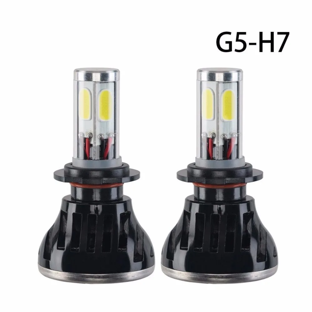 h7 31
