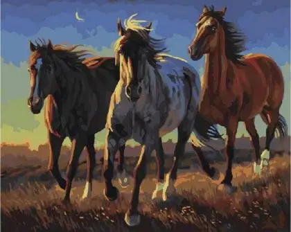three horses oil painting by number acrylic paint decor canvas painting coloring by number drawing animal[1]