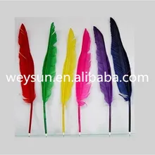 500 шт Популярная ручка гусиное перо для девочек