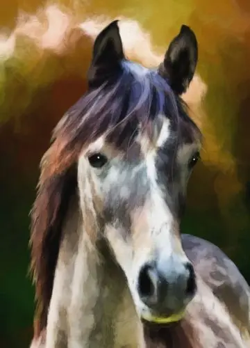 

perfect 24x36 oil painting handpainted on canvas " horse"