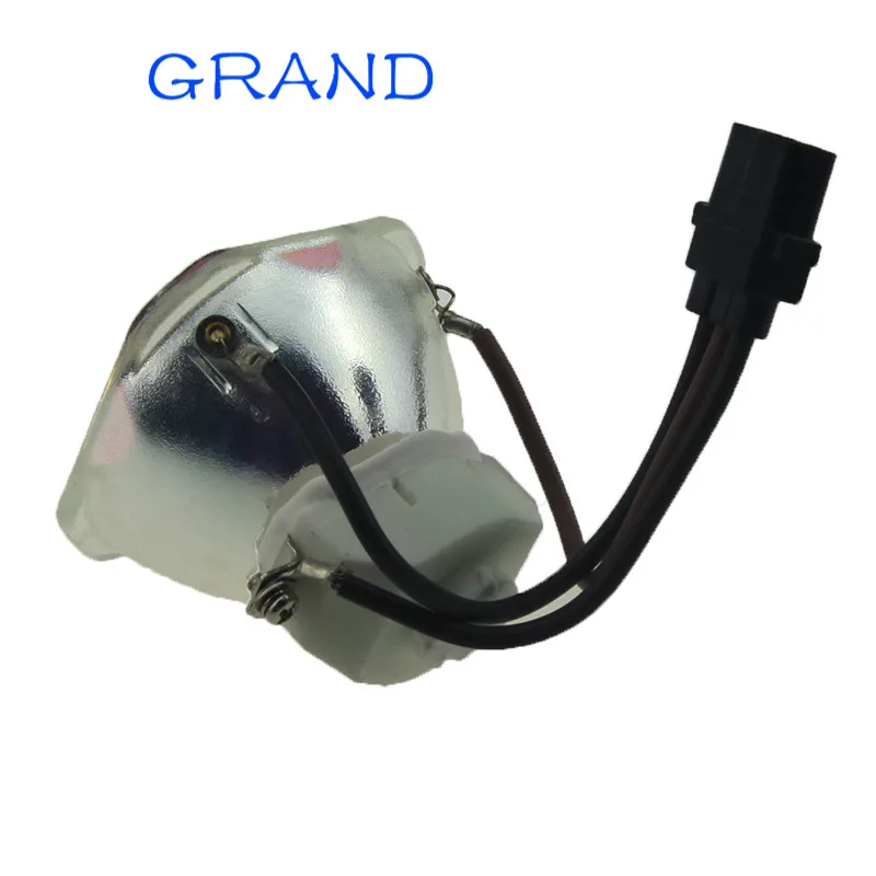 ELPLP401