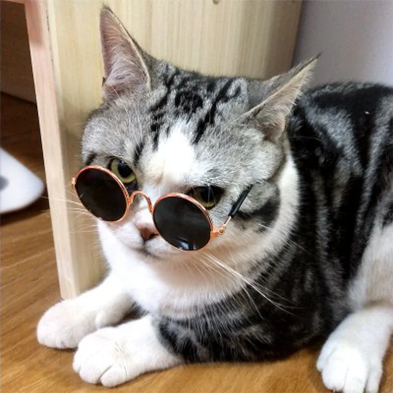 1 шт. Лидер продаж собака очки для товары для домашних животных, кошек оправы очков собака солнцезащитные очки фото реквизит аксессуары для животных принадлежности очки «кошачий глаз»