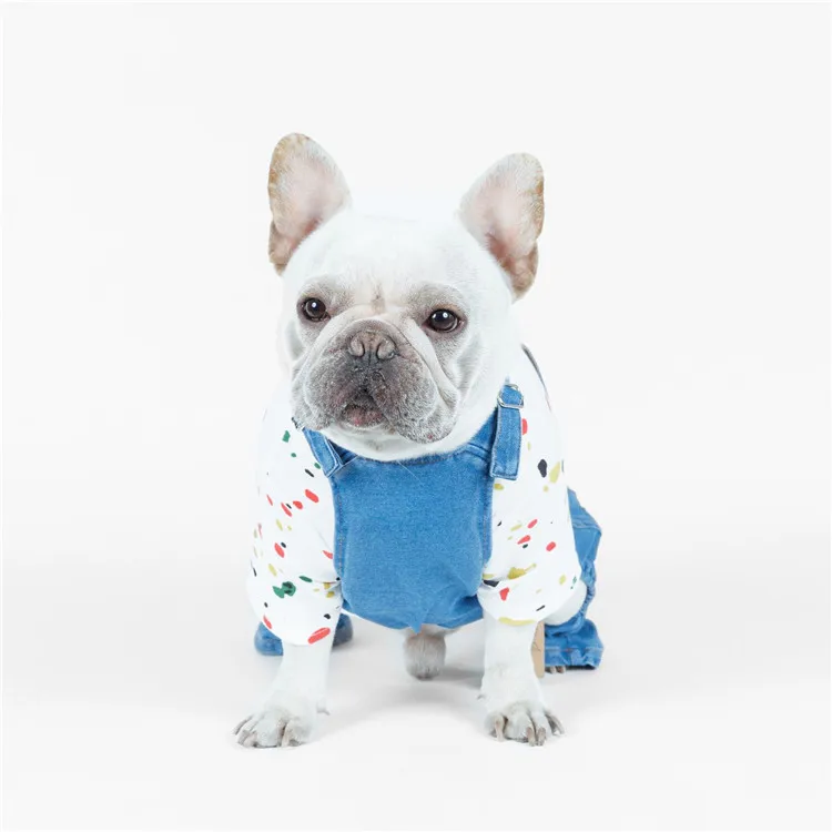 dog clothes (17)
