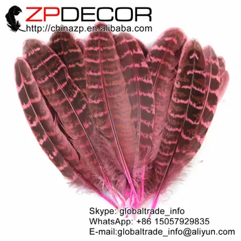 

ZPDECOR 100 pieces/lot 8-15cm(3-6inch) Premium Quality Pink Dyed Ringneck Pheasant Wing Quill Feathers Bulk Sale for Costume