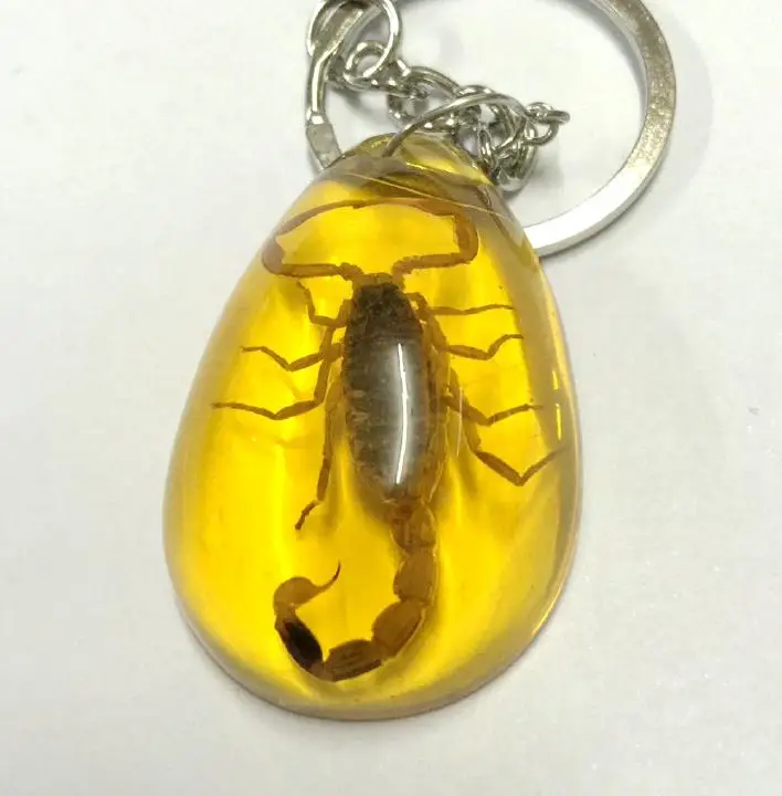 30 pcs charming gold scorpion jewelry yellow back keychainkeychains
