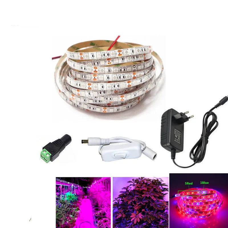 

1M - 5M LED Grow Lights DC12V Growing LED Strip Plant Growth Light 1M 2M 3M 5M Set with Adapter and Switch for Greenhouse Plant