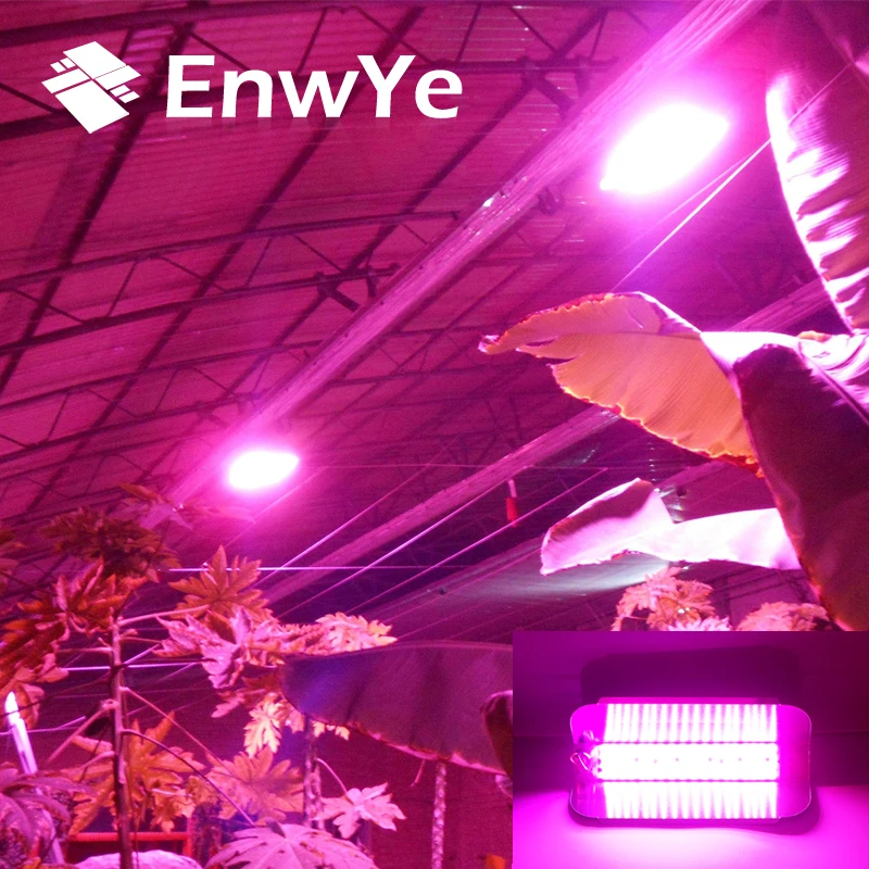 EnwYe 50W 100W Plant growth lamp COB LED Grow Light Phyto Simple floodlight 220V For Plant Greenhouse Hydroponic