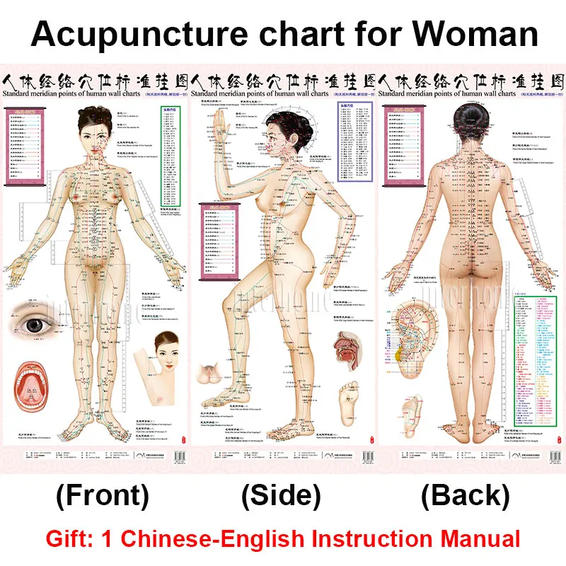 Стандартный Меридиан акупунктуры точки диаграммы и ZhenJiu прижигание акупунктуры массаж диаграмма для головы рук ноги тела забота о здоровье - Цвет: For Woman