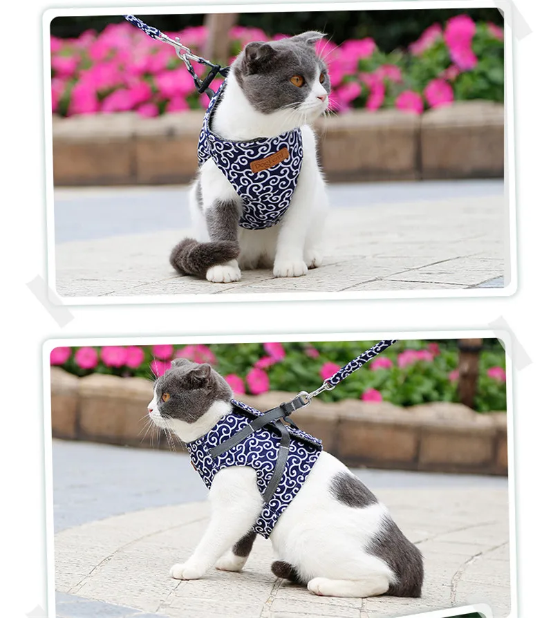 Cat Harness and Leash Set (10)
