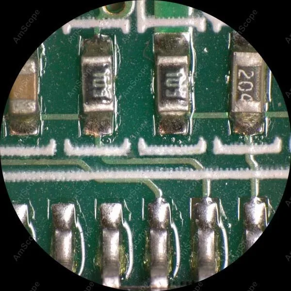 AmScope 10X-20X-40X 학생 및 취미용 쌍안경 해부 입체 현미경