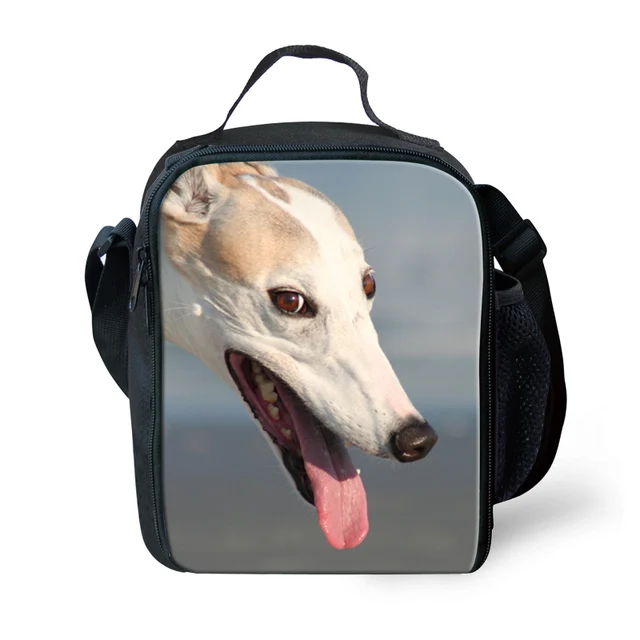 luggage storage greyhound