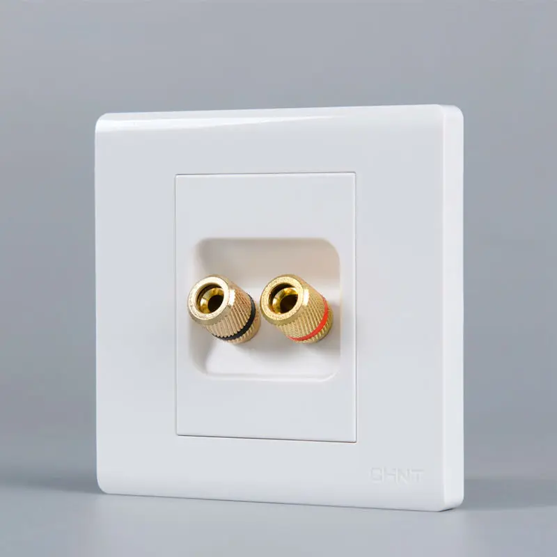 New Version 2 Speaker connector plate pic 1