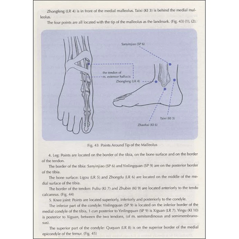 Способ найти Acupoints китайская медицина иглоукалывание учебник для иностранцев английская версия твердый переплет